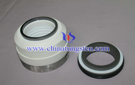 WB2系列碳化矽機(jī)械密封環(huán)圖片